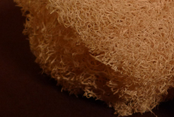 Loofa